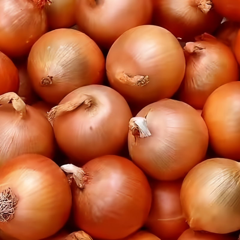 Why Are Yellow Onions a Cost-Effective Ingredient for Large-Scale Food Production?