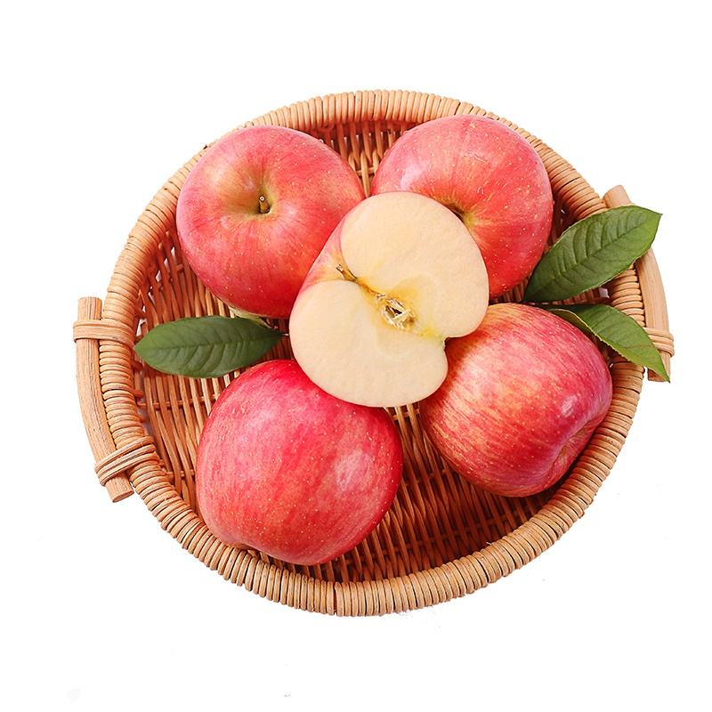 Frische rote Fuji-Äpfel, neue Ernte, chinesisches Obst, frische Äpfel, rot und lecker, frische Äpfel, Großhandelspreis