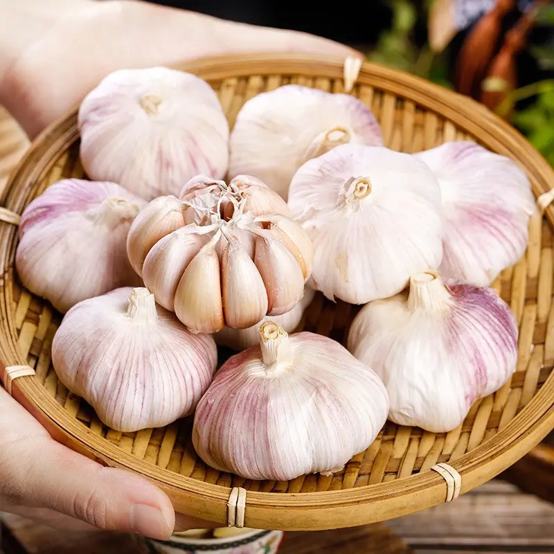 How Can Importers Select Reliable Garlic Suppliers for Long-Term Partnerships?
