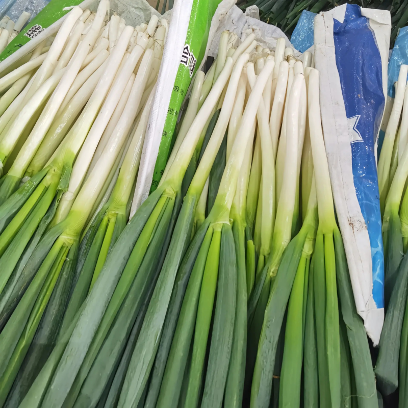 Mga Versatil na Paggamit sa Kulinarya