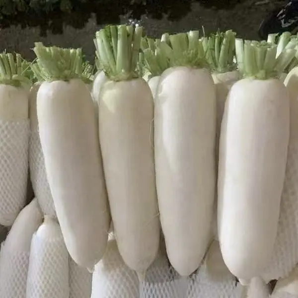 التنوع في الطبخ