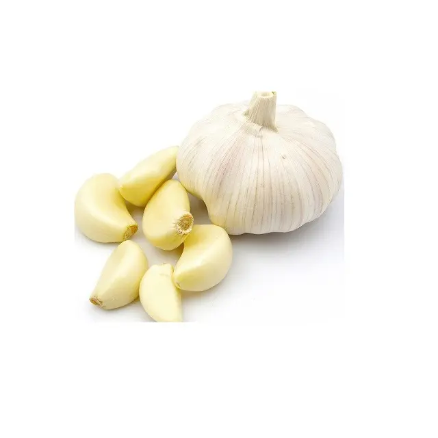 How to Select High-Quality Peeled Garlic for Commercial Kitchens?