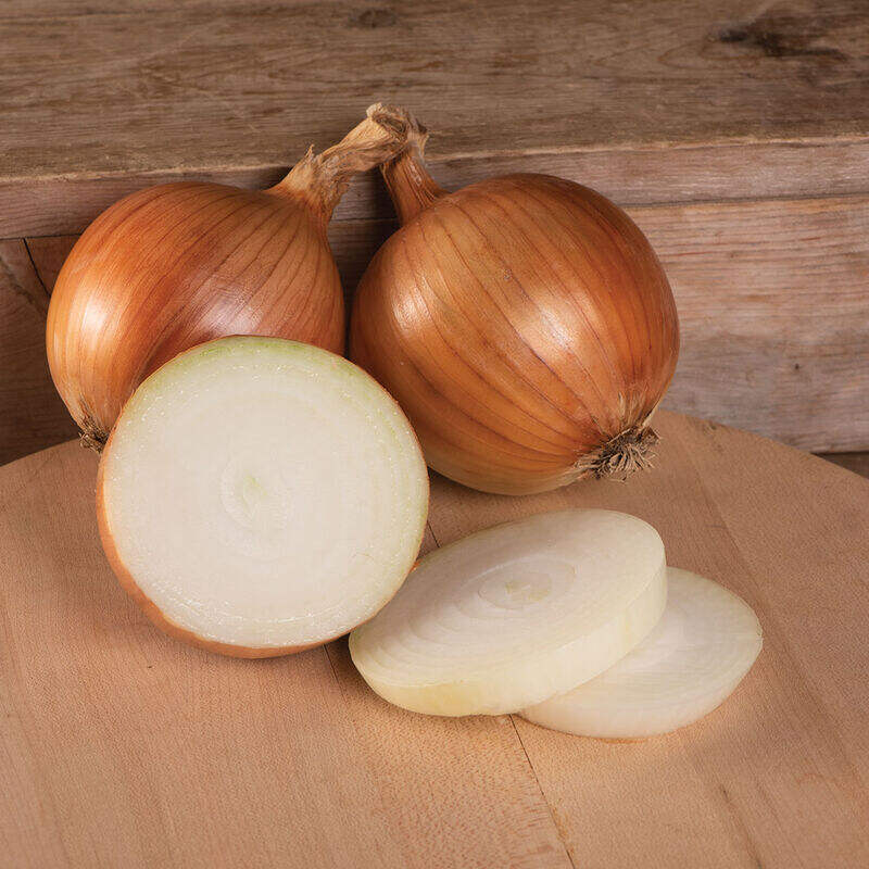 Hervorragende Qualität und Frischeerhaltung