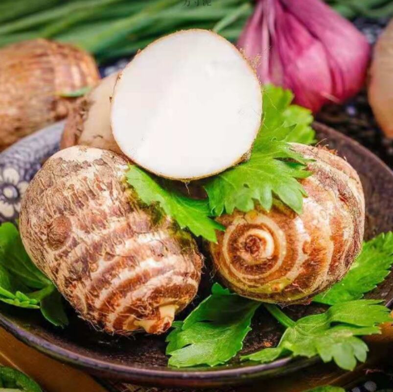 Frisch verpacktes Taro