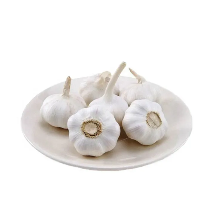 Warum verlassen sich internationale Käufer auf Knoblauch-Exporteure aus China?