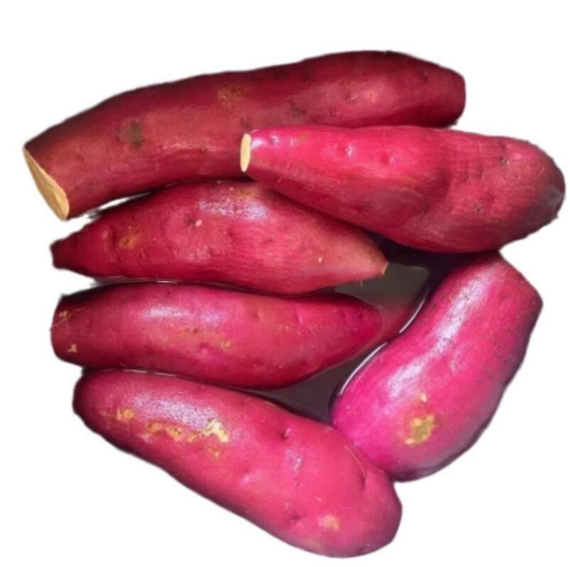 红薯35.jpg