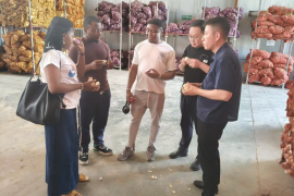 Shanghai Jiliu Landwirtschaftstechnologie und Ökologie gehen Hand in Hand: Umsetzung des Konzepts der Gemeinsamen Entwicklung und Teilleistung