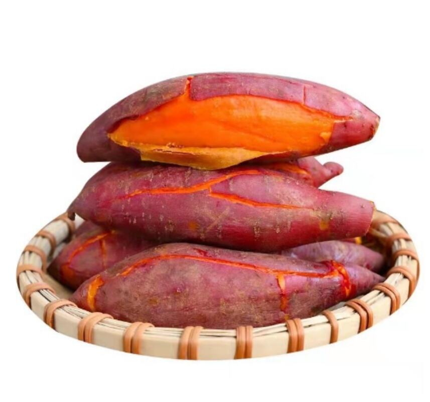 Hochwertige frische Süßkartoffeln für den Verkauf zum besten Preis frische Süßkartoffeln