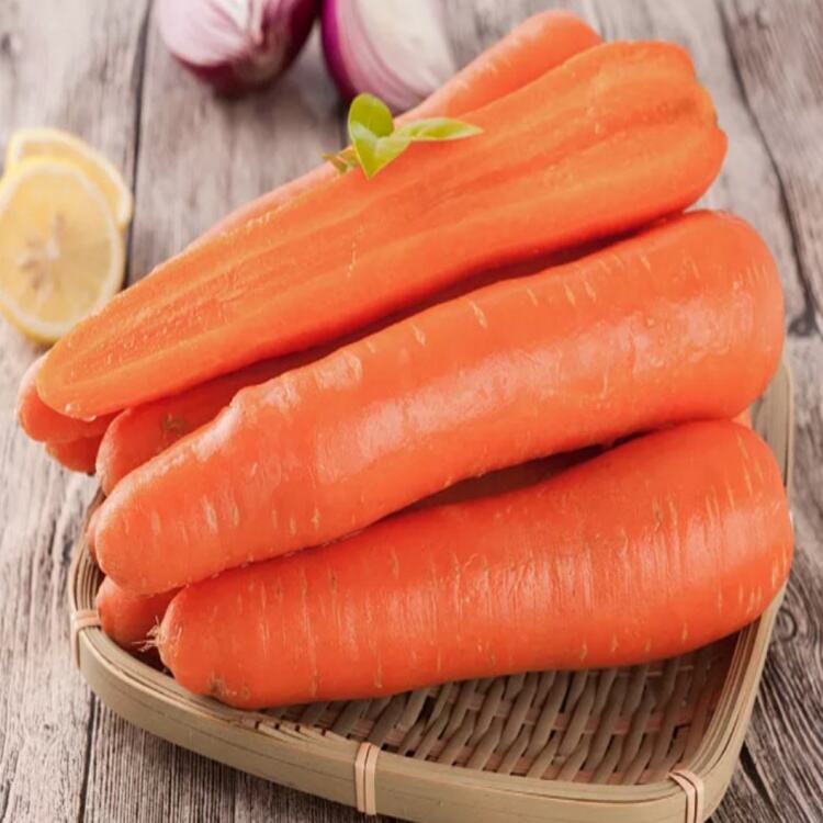 Why Carrot Is an Essential Ingredient for Global Food Industries?