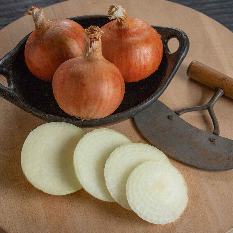 Why Are Yellow Onions the Most Common Choice for Professional Chefs?