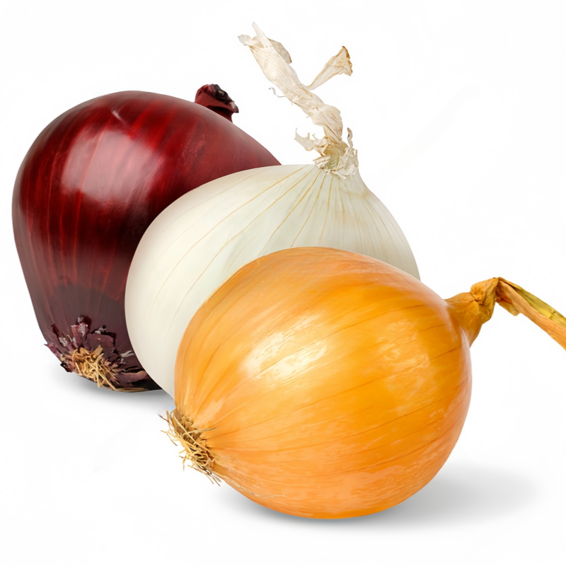 Viele Arten Neue Ernte Frische Gelbe Rote Zwiebeln Großhandelspreis Pro Tonne China Top Grade Zwiebel Exporteur