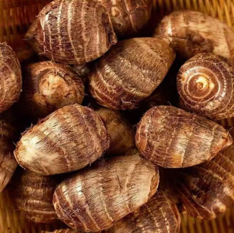 Importtrends bei Taro: Was globale Käufer genau beobachten sollten