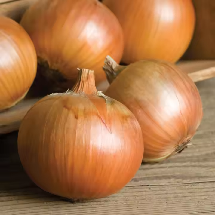 8F08CE75-E3D4-46ca-B47C-49A1654617D9.png