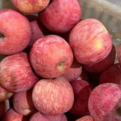 apple7.webp