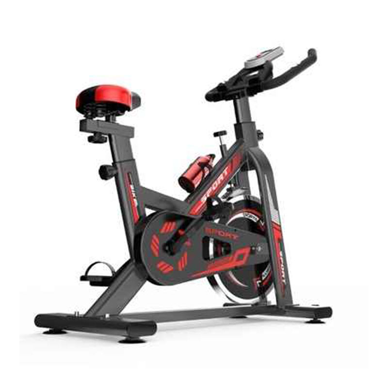 Indoor Fitness Reduce Weight Equipment And Home Silent Cycling Spinning Gym Exercise Spin Bike