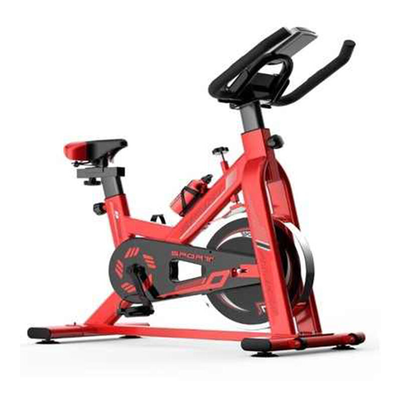 Indoor Fitness Reduce Weight Equipment And Home Silent Cycling Spinning Gym Exercise Spin Bike