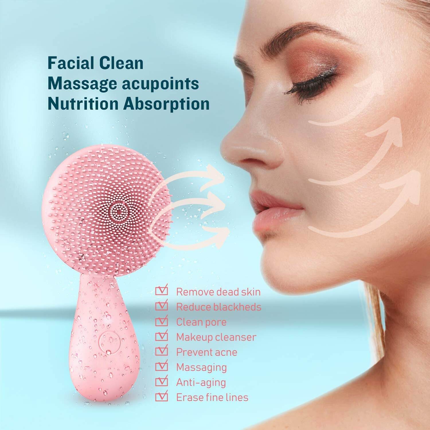 Ruyi Cleansing Brush