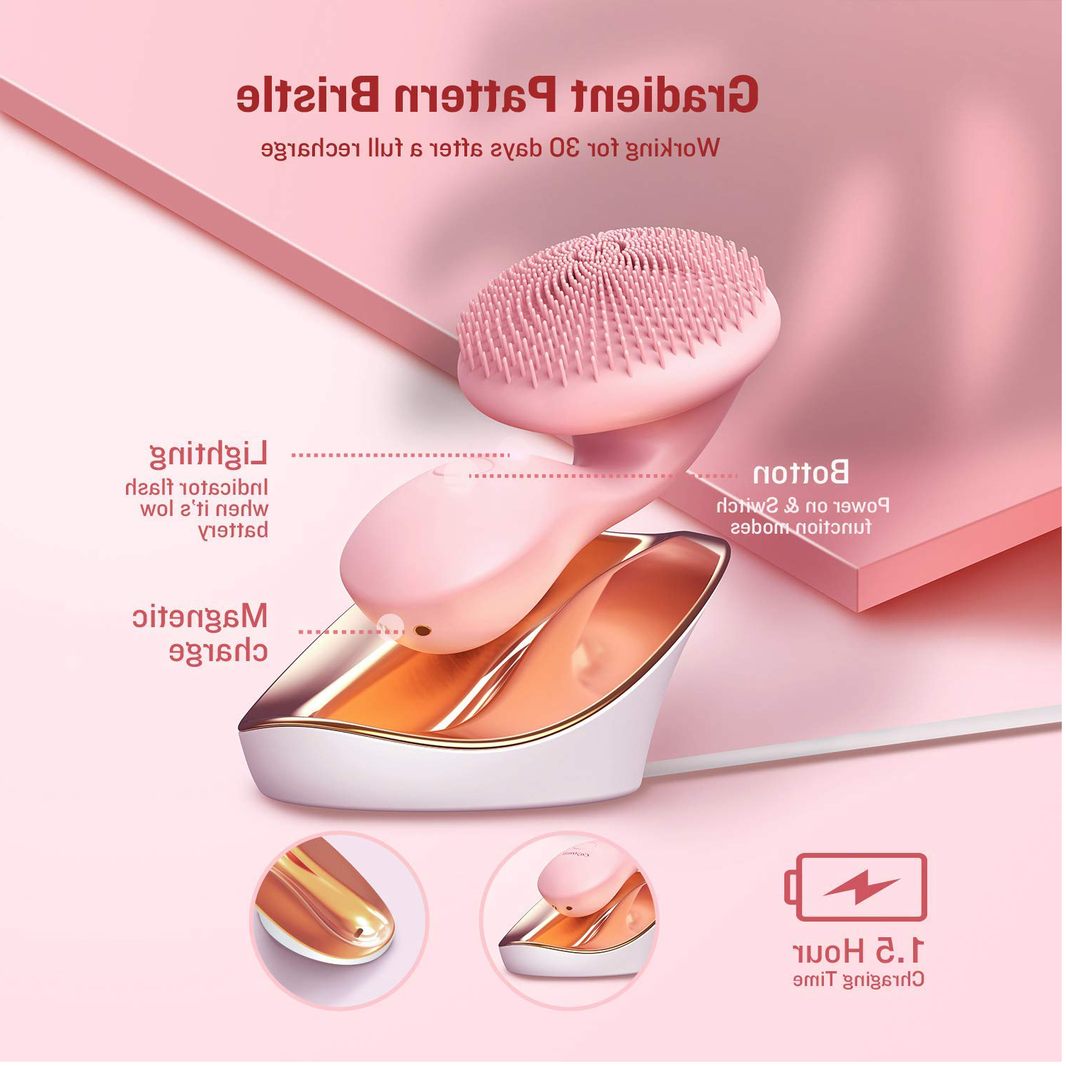 Ruyi Cleansing Brush