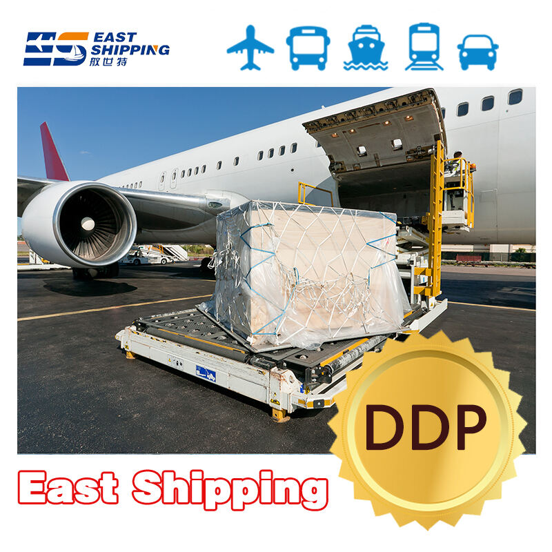 Global Shipping Made Easy: The Benefits of Using DDP Transportation Services 