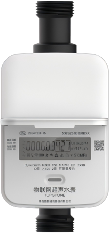 Advanced Leak Detection and Prevention