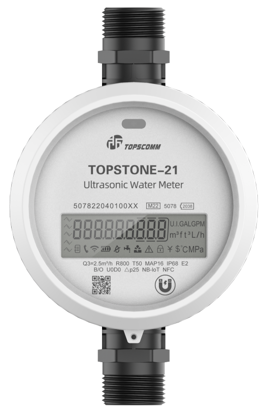 Advanced Leak Detection and Prevention System