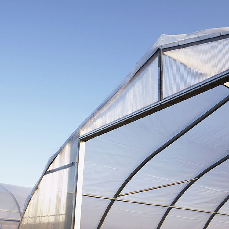 Enhanced Durability and Weather Resistance