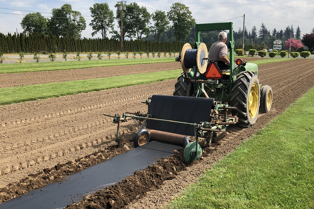 அதிக வெப்பநிலை சூழலில் பிளாஸ்டிக் பில்மின் முழுமையை எவ்வாறு பராமரிப்பது?