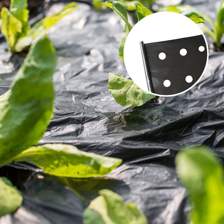 How does premium silage film ensure the nutritional quality of animal fodder?