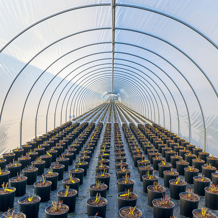 Enhanced Environmental Sustainability