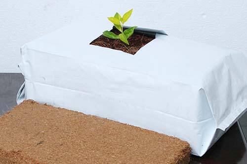 Hengrun Plastics Launches High-Durability Plastic Grow Bags to Boost Agricultural Productivity