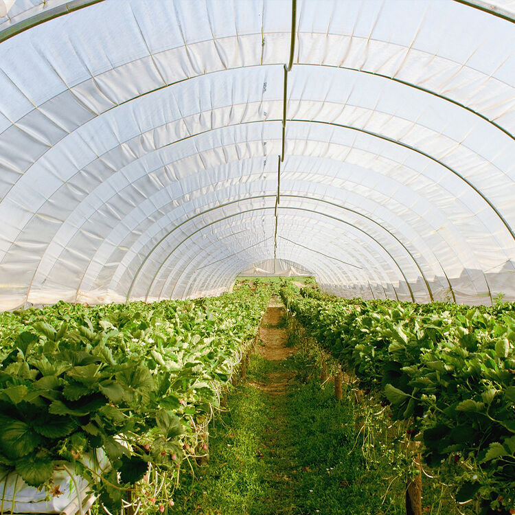 தொழில்முறை பிளாஸ்டிக் திரையைப் பயன்படுத்துவதன் உறுதிநிலை நன்மைகள் யாவை?