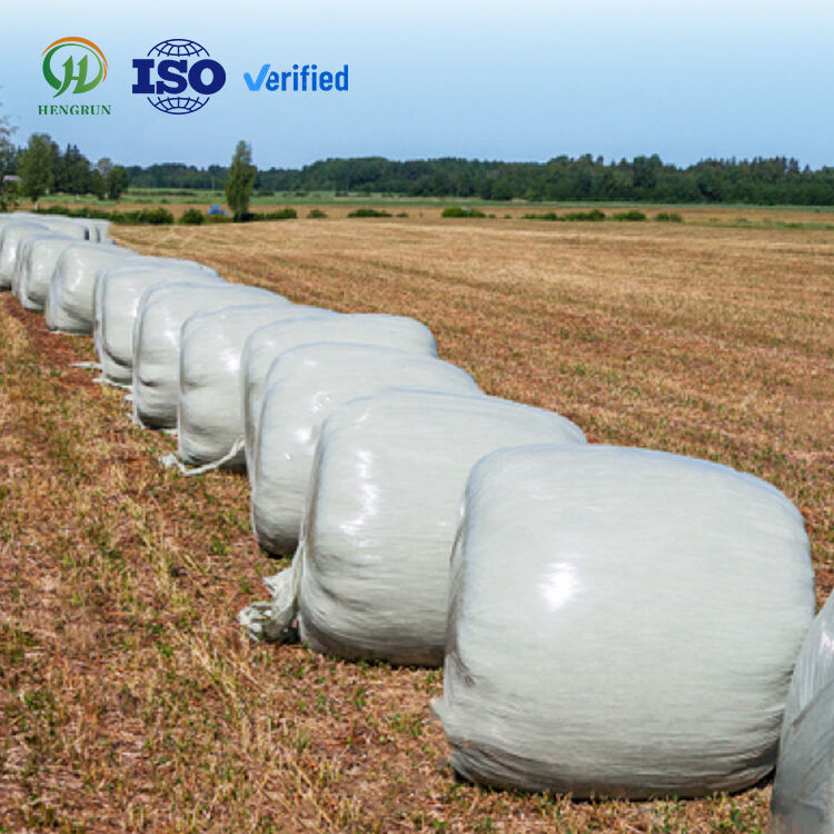 Environmental Sustainability Focus