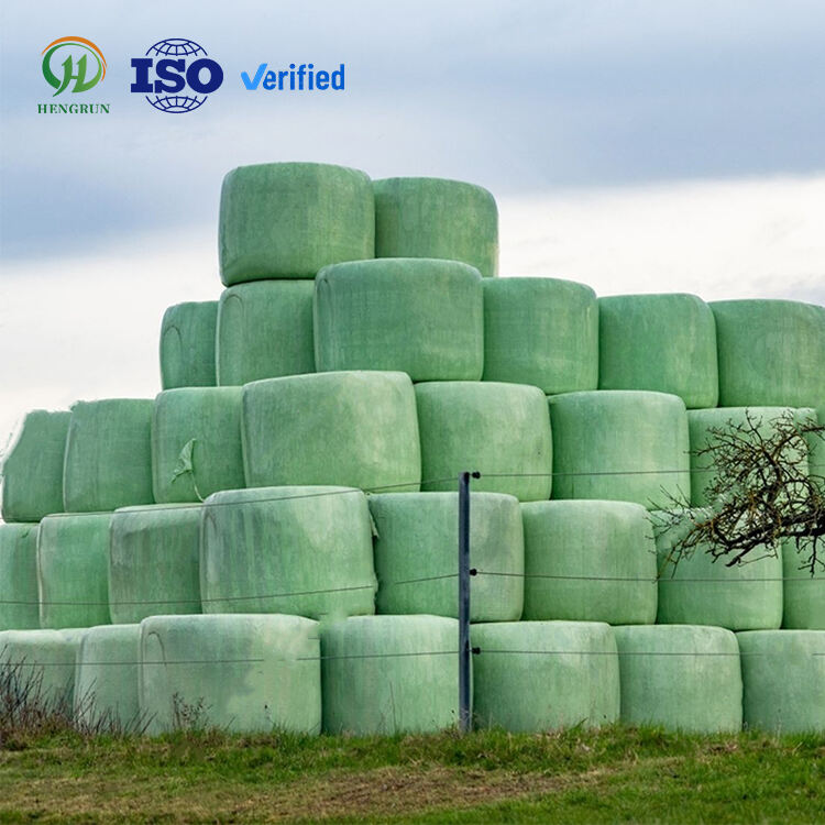 Environmental Sustainability Initiatives
