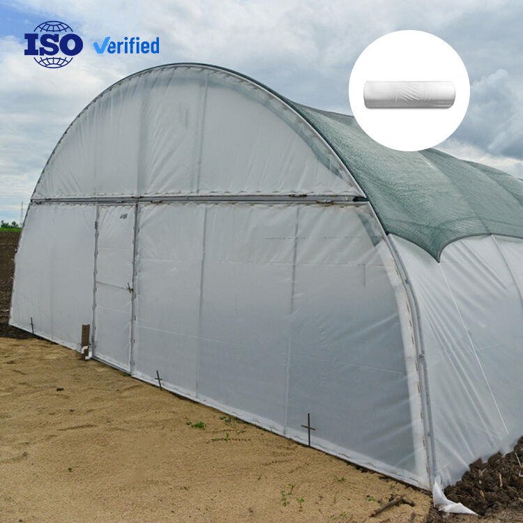 Enhanced Durability and Weather Resistance