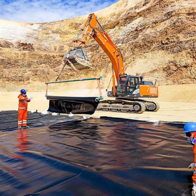 Geomembrane