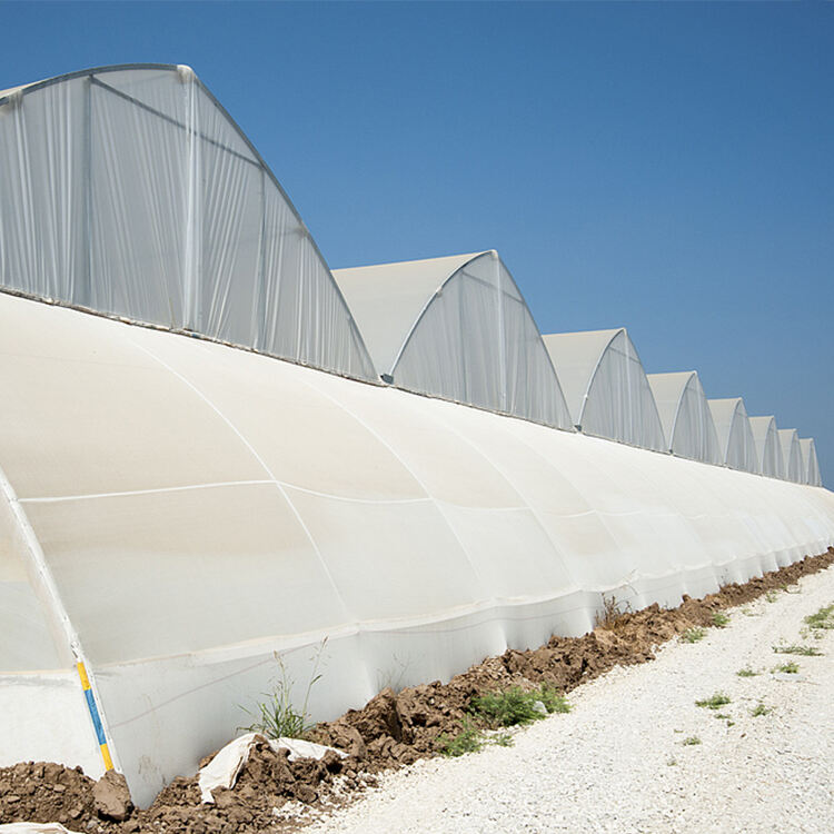 Long-Term Durability and Cost Efficiency