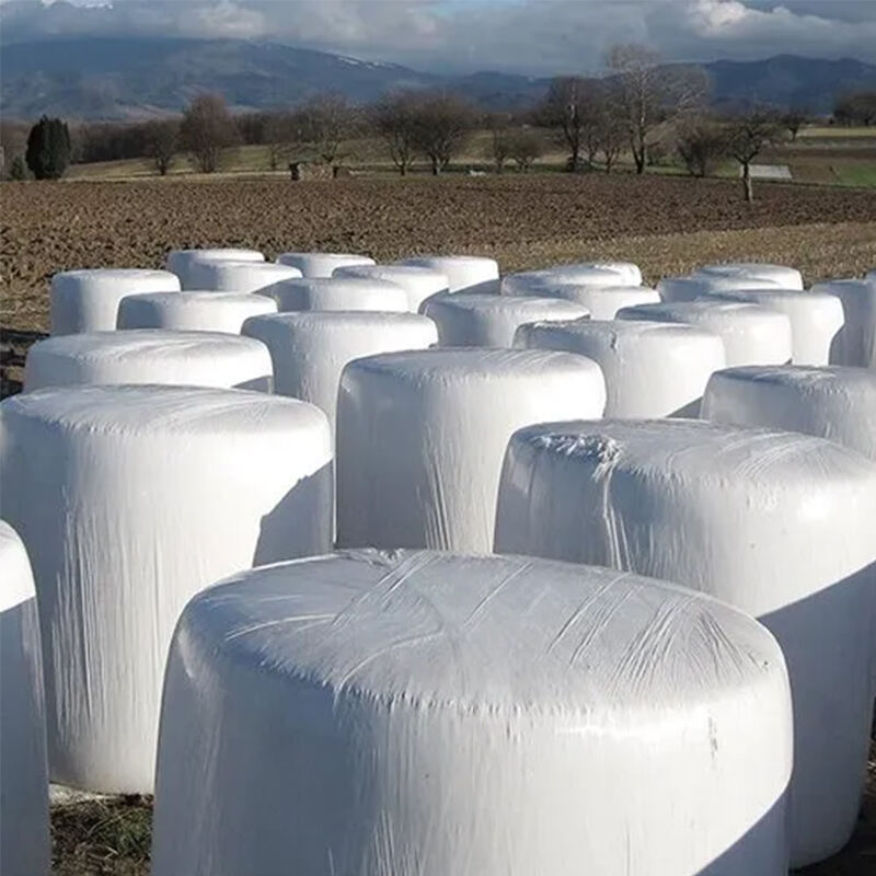Environmental Durability and Cost Efficiency