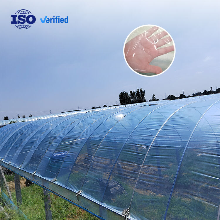 Sustainable Packaging Innovation