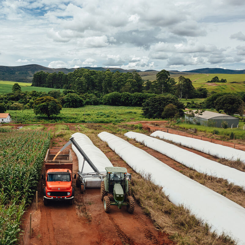 The ultimate guide to using silage bags for year-round high-quality livestock feed.