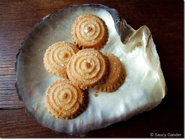 Teknoloġija tal-Mudelli Interċanġjabbli