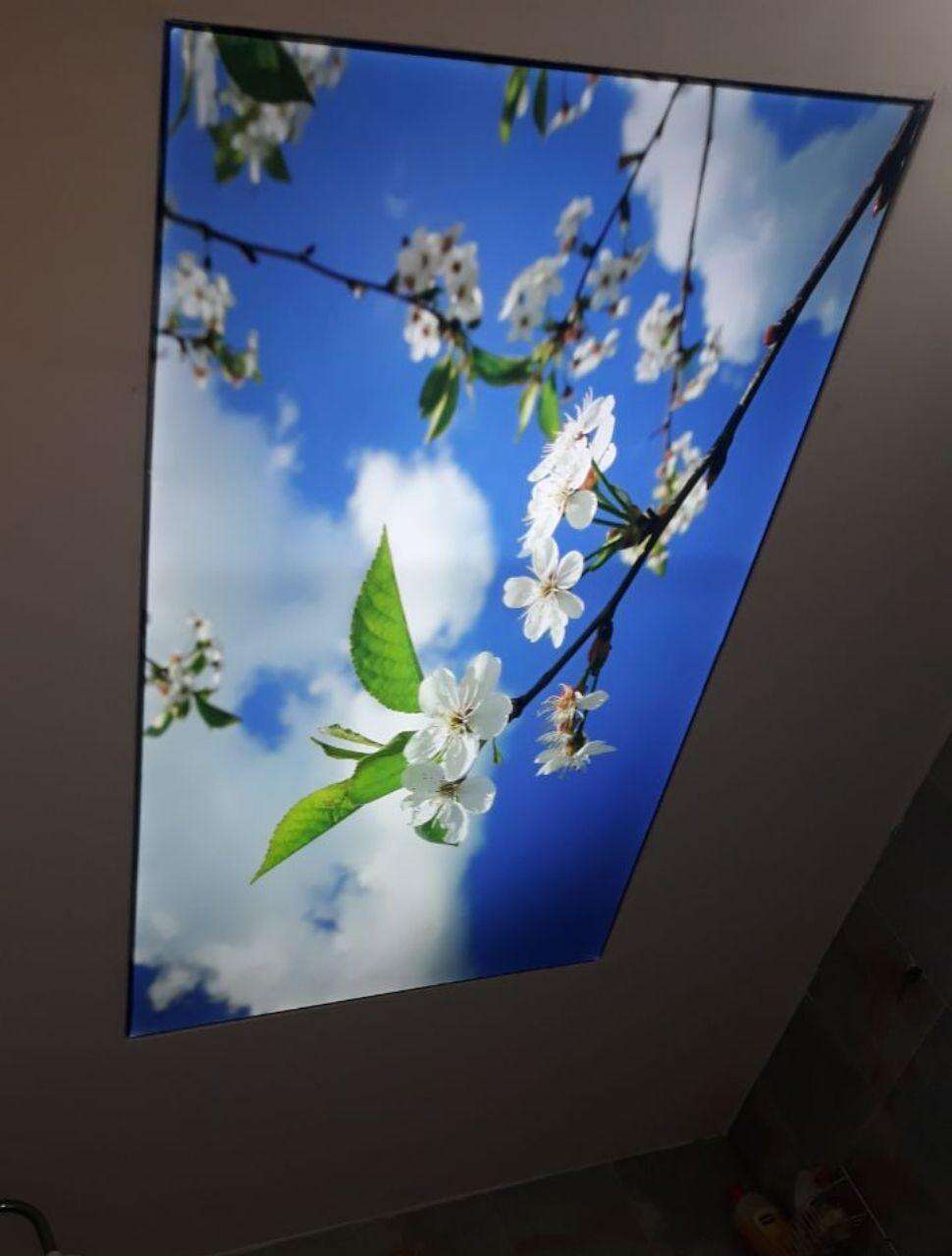 Custom 3D Printed PVC Translucent Stretch Ceiling Film for Modern Interior Decoration & Ambient Lighting Design