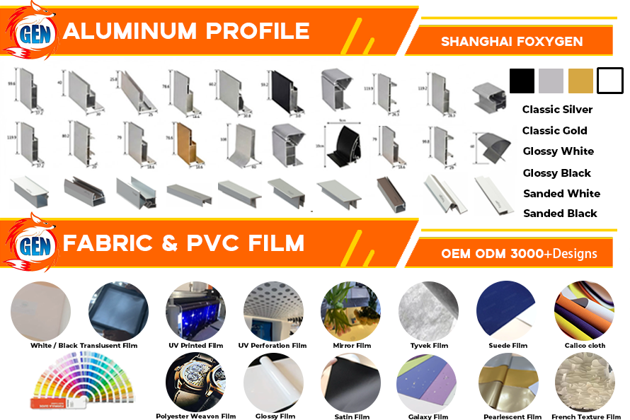 PROFESSIONAL SERVICE