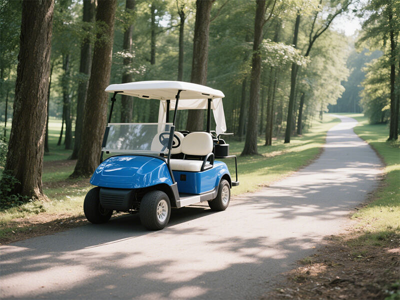 From Course to Community: Golf Carts in Urban Mobility
