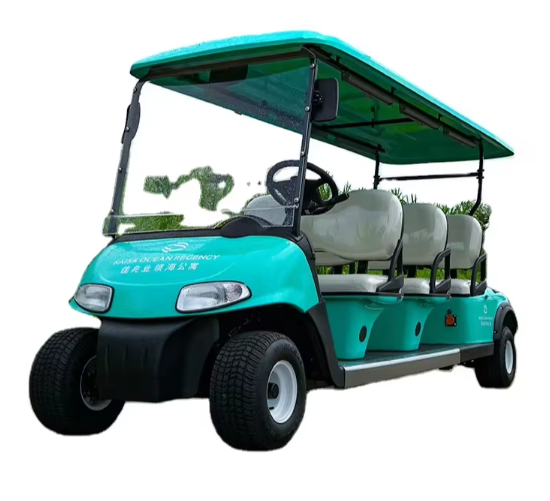 What Are the Key Factors for B2B Golf Cart Battery Maintenance & Longevity?
