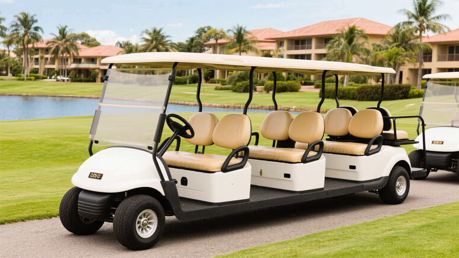 6 Seater Golf Carts: Ideal for Australian Resort Transport