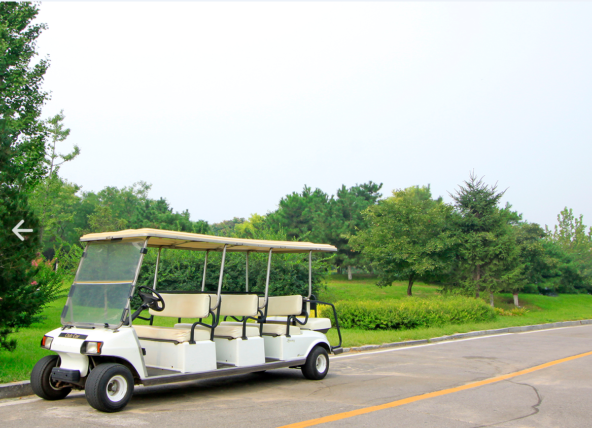 How to Select an Electric Golf Cart for Resort Use