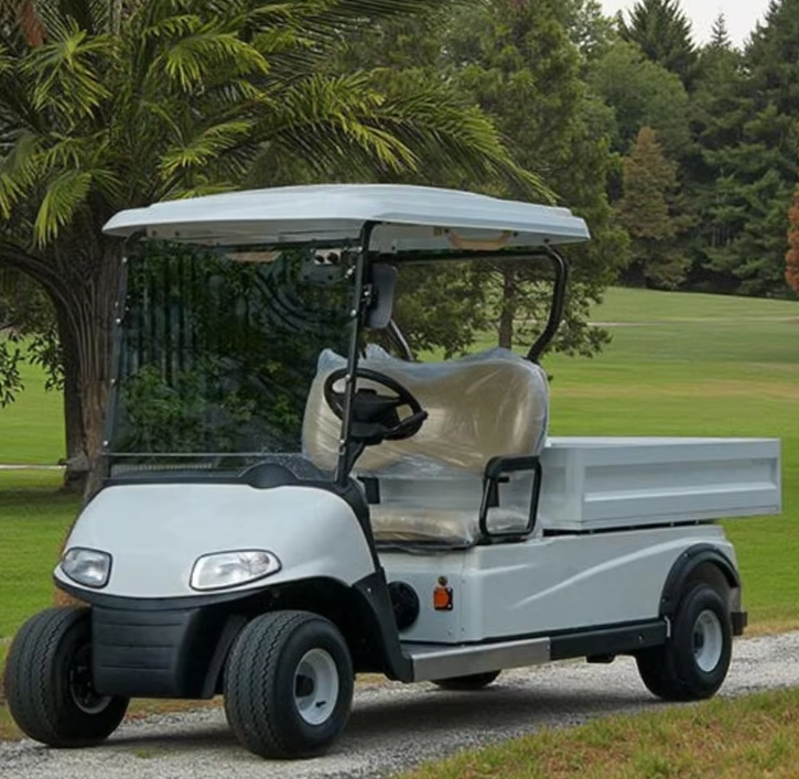 What Should B2B Buyers Consider When Choosing Chinese Electric Golf Carts in 2025?