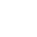 Customer Consultation