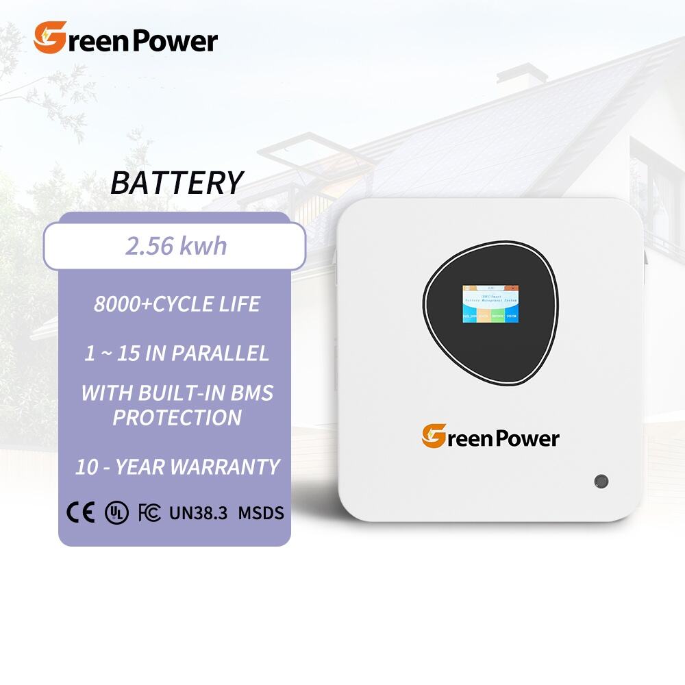 IP20 Waterproof Lithium Battery 25.6V 100Ah 2.56Kwh 10Kwh Lifepo4 Power Wall Mounted Household Solar Power Systems