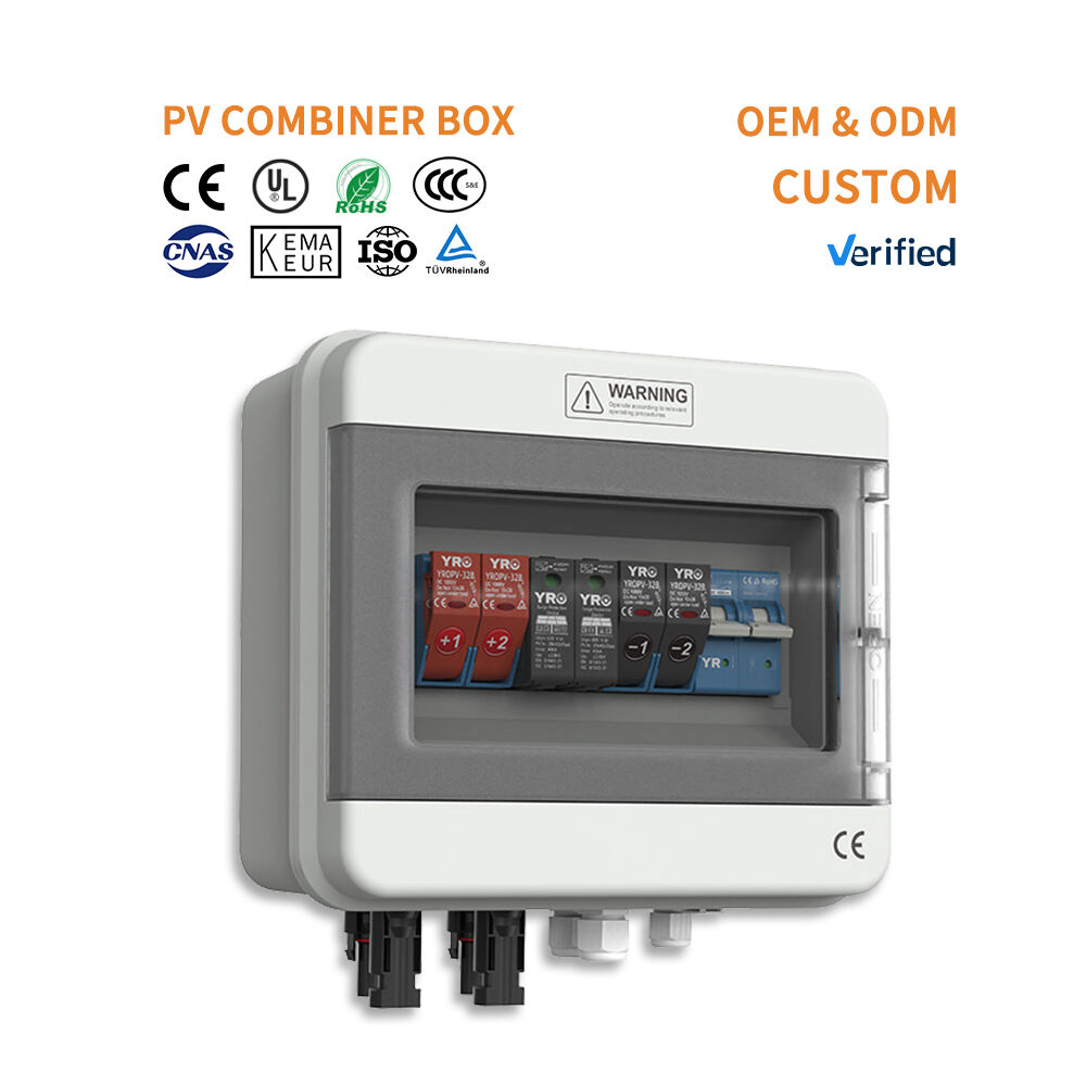 Custom 2 Input 2 Output Solar PV Combiner Box with DC Isolator and Surge Protection IP65 Waterproof Enclosure for Grid-Tied Systems